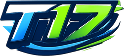 t17
